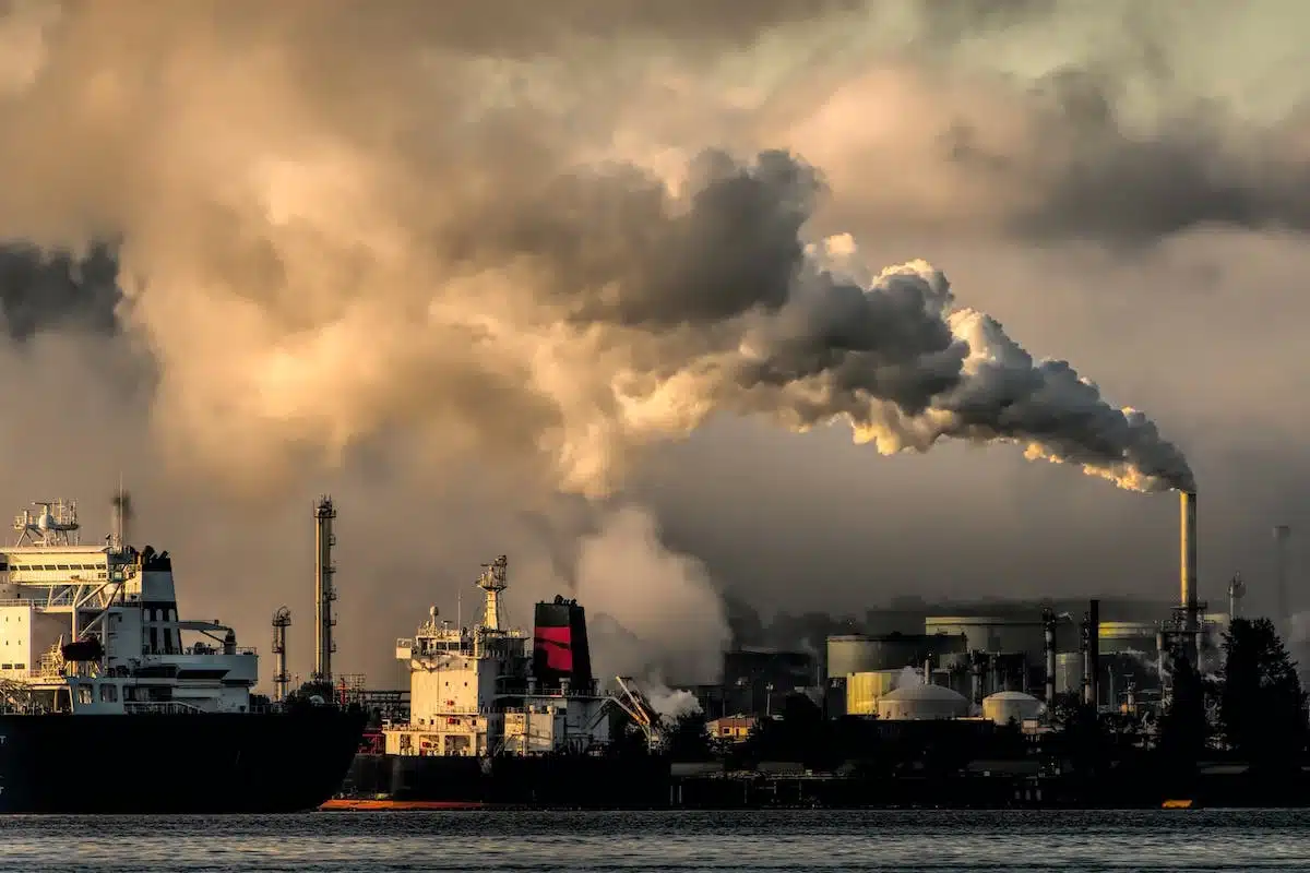 entreprise écologie