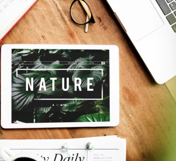 Lire un blog d'actualités pour mieux comprendre l'environnement